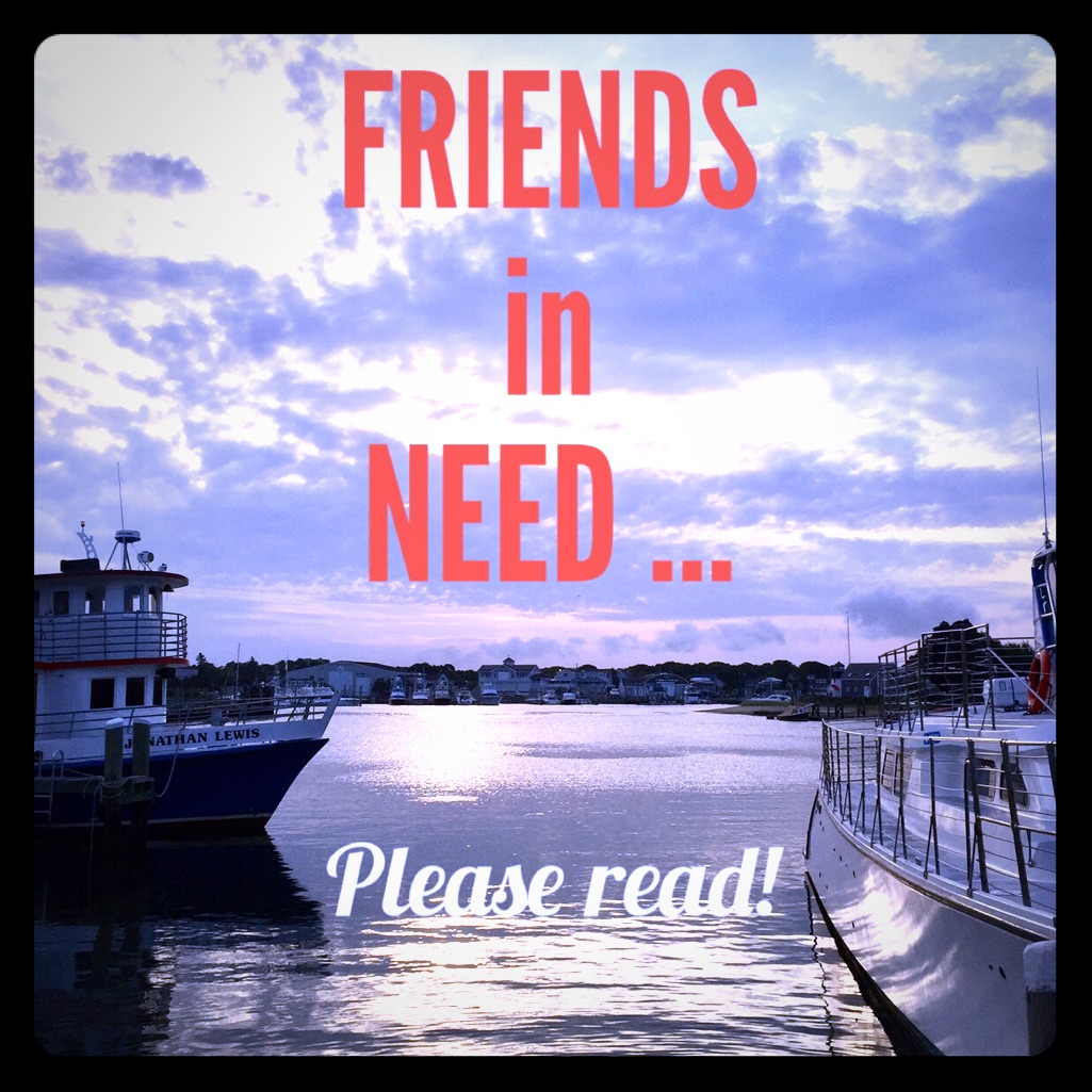 What You Need